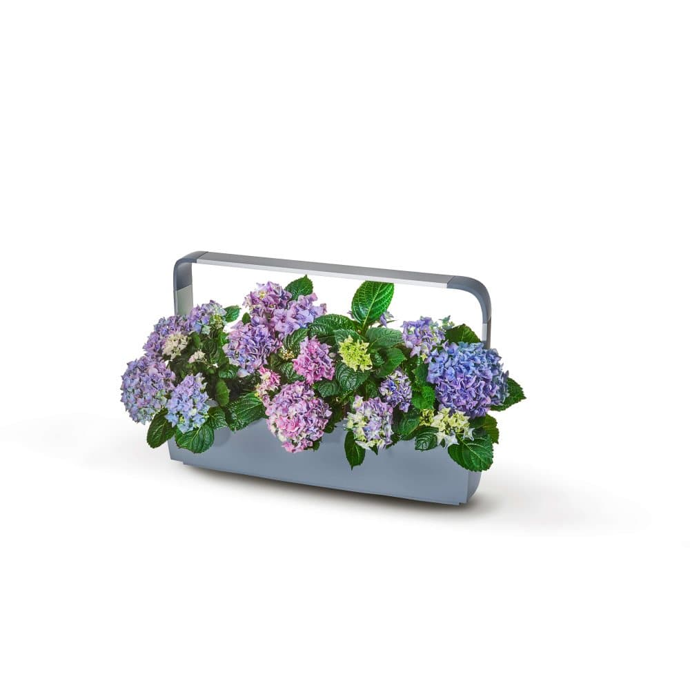 TREGREN Kitchen Garden T12 Harmaa