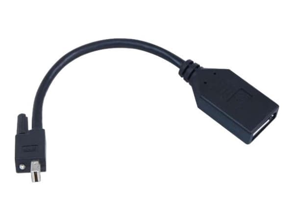 Matrox TripleHead2go upgrade - DisplayPort-sovitin - Mini DisplayPort (han) til DisplayPort (hun) - Matrox M9138, M9148, M9188; Graphics eXpansion Mo