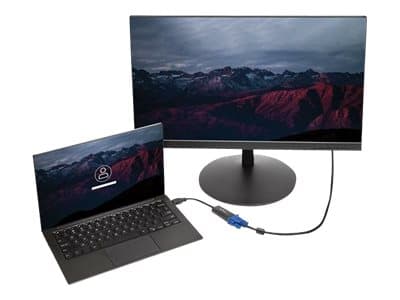 StarTech.com USB 3.0 till Video-videoadapter - inbyggd installation av drivrutiner - 1920x1200