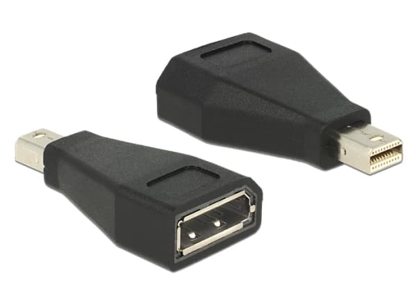 Delock - DisplayPort-adapter - Mini DisplayPort (hann) til DisplayPort (hunn) - svart