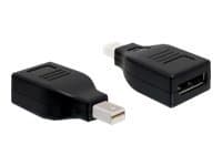 Delock - DisplayPort-adapter - Mini DisplayPort (hann) til DisplayPort (hunn) - svart
