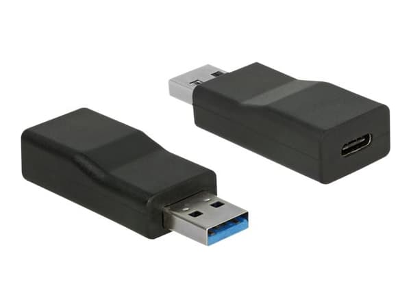 Delock - USB-adapter - USB-type A (hann) til 24 pin USB-C (hunn) - USB 3.1 Gen 2 - 1 A - aktiv - svart