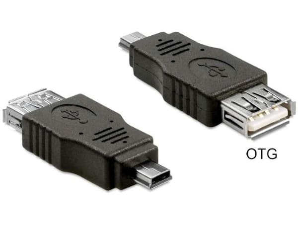 Delock - USB-adapter - mini-USB typ B (hane) till USB (hona) - USB 2.0 OTG