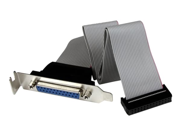 StarTech.com DB25 (F) - IDC26 DB-25 25 pin D-Sub IDC 26 pin Motherboard Header Grå