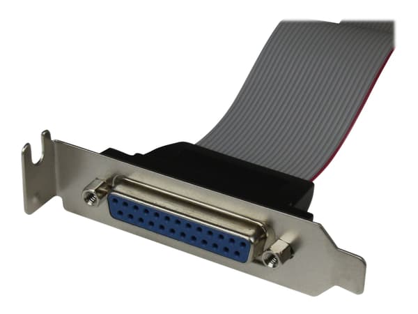 StarTech.com DB25 (F) - IDC26 DB-25 25 pin D-Sub IDC 26 pin Motherboard Header Grå