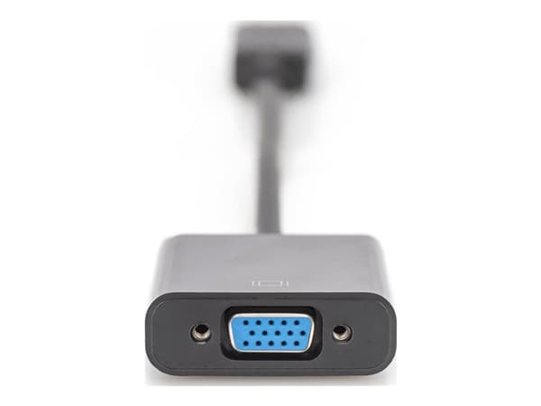 ASSMANN - DisplayPort-sovitin - DisplayPort (han) til HD-15 (VGA) (hun) - 15 cm - formet - lajittelu