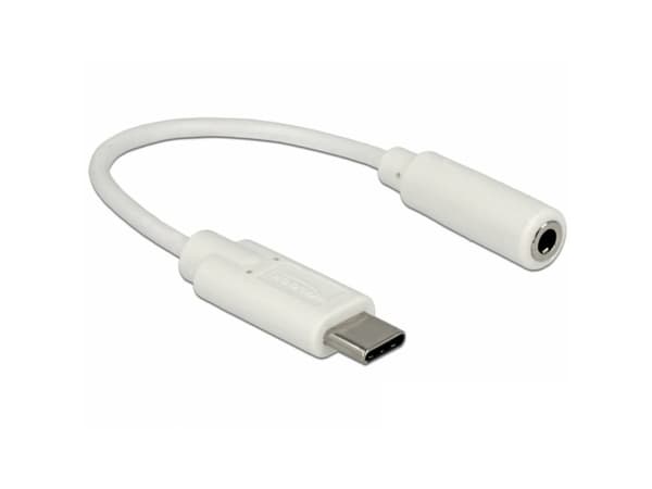 Delock - Lydadapter - USB-C hann til stereo mini-jack hunn - 14 cm - hvit