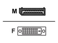 Fujitsu - DisplayPort kaapeli - DisplayPort (han) til DVI-D (hun) - Celsius W5011; ESPRIMO D6011, D7010, D7011, D9010, D9011, G5011, P5011, P7011, P9