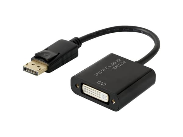 Renkforce RF-4299048, 0,1 m, DisplayPort, DVI, Hankjønn, Hunkjønn, Rett