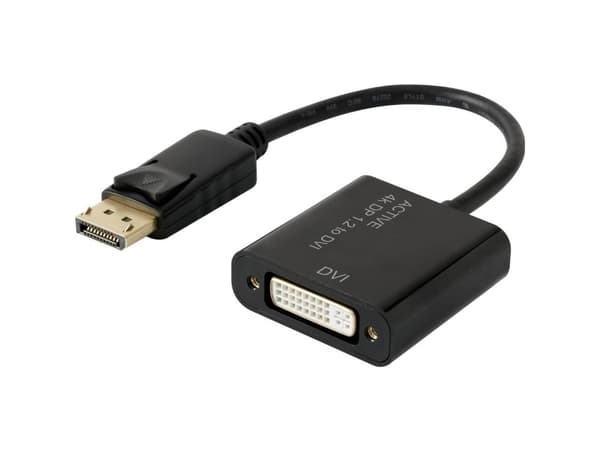 Renkforce RF-4299048, 0,1 m, DisplayPort, DVI, Hankoppling, Honkoppling, Rak