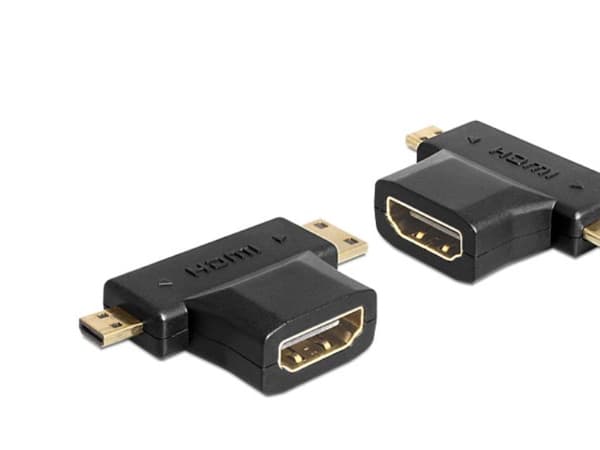 Delock - HDMI-splitter - HDMI hunn til 19 pin mini HDMI Type C, 19 pin micro HDMI Type D hann - svart