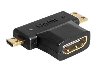 Delock - HDMI-splitter - HDMI hunn til 19 pin mini HDMI Type C, 19 pin micro HDMI Type D hann - svart