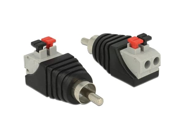 Delock - Audio-adapter - 2 stifts terminalblock hane till RCA hane