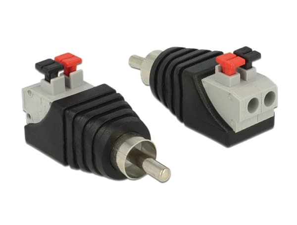 Delock - Audio-adapter - 2 stifts terminalblock hane till RCA hane