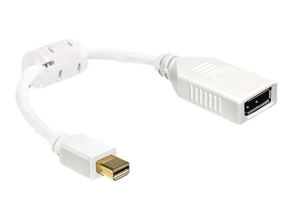 Delock - DisplayPort-sovitin - DisplayPort (hun) til Mini DisplayPort (han) - 21 cm