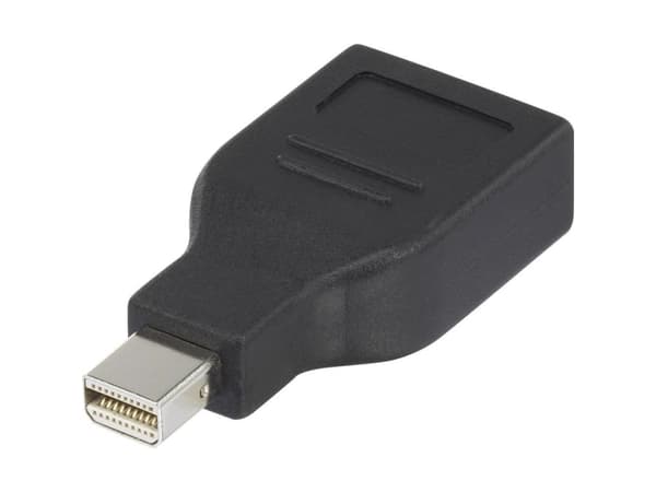 Renkforce RF-4174572, Mini DisplayPort, DisplayPort, Sort