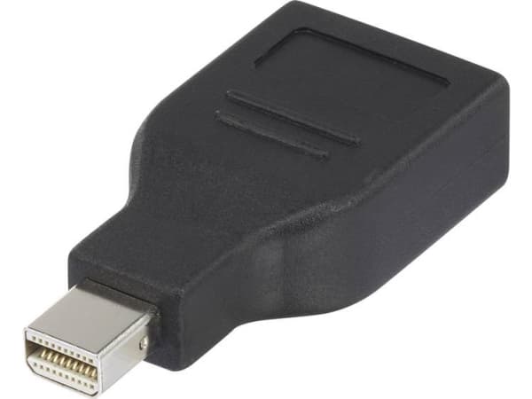 Renkforce RF-4174572, Mini DisplayPort, DisplayPort, Sort