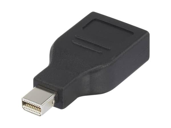 Renkforce RF-4174572, Mini DisplayPort, DisplayPort, Sort