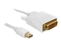 Delock - DisplayPort-kabel - Mini DisplayPort (hann) til DVI-D (hann) - 2 m