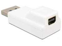 Delock - DisplayPort-adapter - DisplayPort (hane) till Mini DisplayPort (hona) - vit