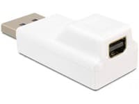 Delock - DisplayPort-adapter - DisplayPort (hane) till Mini DisplayPort (hona) - vit