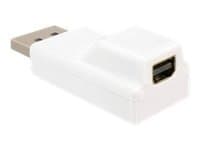 Delock - DisplayPort-adapter - DisplayPort (hane) till Mini DisplayPort (hona) - vit