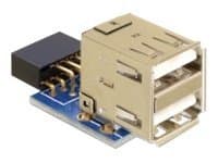 Delock - USB-adapter (hona) till USB (hona)