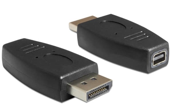 Delock - DisplayPort-adapter - DisplayPort (hann) til Mini DisplayPort (hunn) - svart