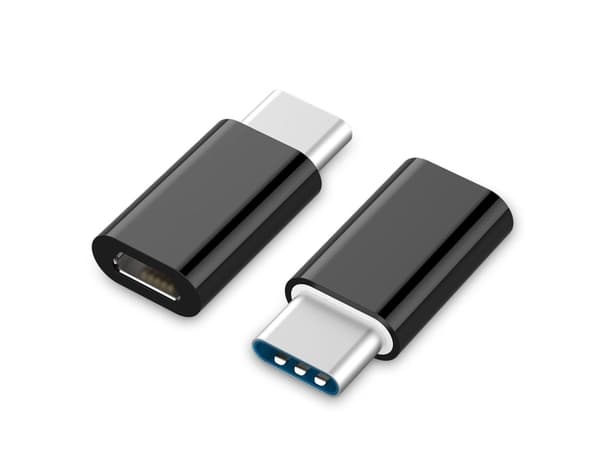 Cablexpert - USB-adapter - 24 pin USB-C (hane) till mikro-USB typ B (hona) - USB 2.0 - svart