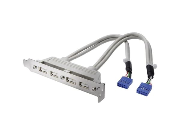 ASSMANN - USB-panel - 10 pin IDC (hunn) til USB (hunn) - 25 cm - formstøpt - beige
