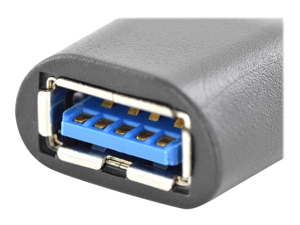 ASSMANN - USB-adapter - USB typ A (hona) till 24 pin USB-C (hane) - USB 3.0 - formpressad - svart