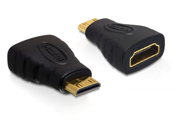 Delock High Speed HDMI - HDMI-adapter - 19 pin mini HDMI Type C hann til HDMI hunn