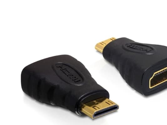 Delock High Speed HDMI - HDMI-adapter - 19 pin mini HDMI Type C hann til HDMI hunn