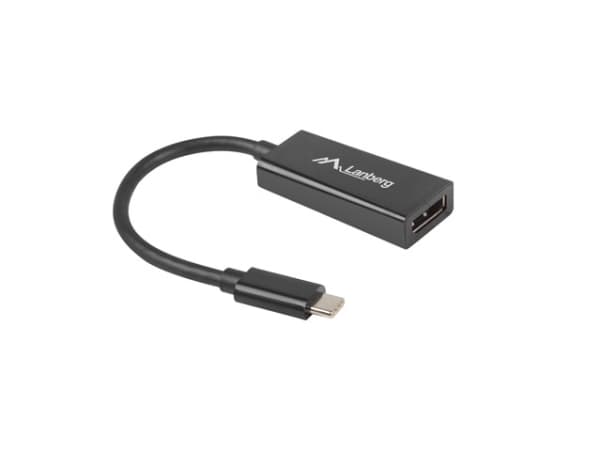 Lanberg - Video/audio-adapter - DisplayPort hunn til 24 pin USB-C hann - 15 cm - svart