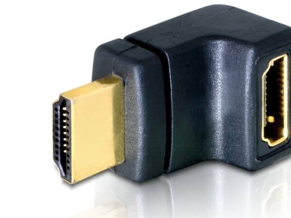 Delock - HDMI-adapter - HDMI hann til HDMI hunn