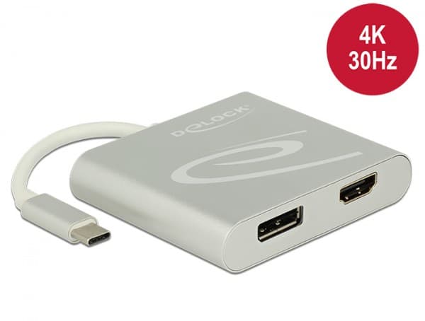 Delock - Ekstern videoadapter - USB-C - HDMI, DisplayPort - sølv - løsvekt