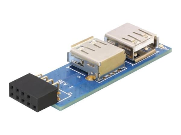 Delock USB Pinheader - USB-adapter (hona) till USB (hona)