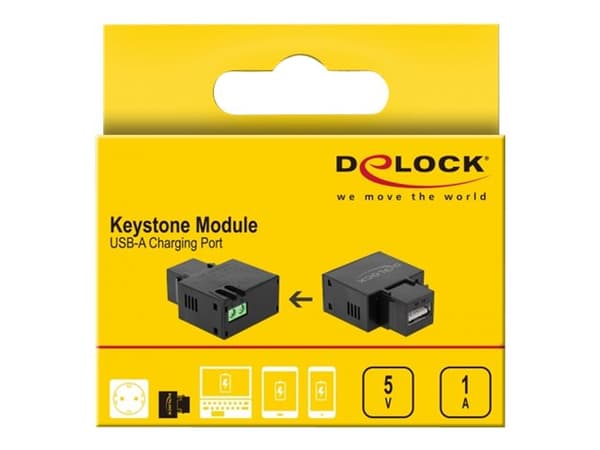 Delock Keystone-modul - Modulær innsats - USB-lading - svart