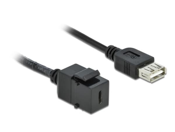 Delock Keystone module - Modulär insättning - USB Typ C - svart