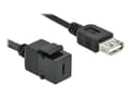 Miniatyrbild 1 av 3: Delock Keystone module - Modulär insättning - USB Typ C - svart
