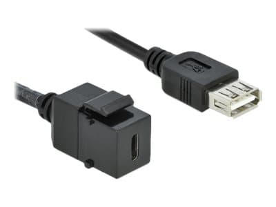 Delock Keystone module - Modulär insättning - USB Typ C - svart