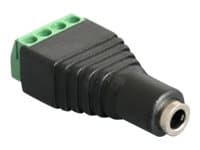 Delock - Audioadapter - 4-pins terminalblokk hunn til mini-phone stereo 3.5 mm hunn