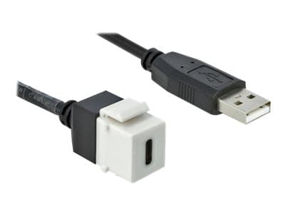Delock Keystone module - Modulär insättning - USB Typ C - vit