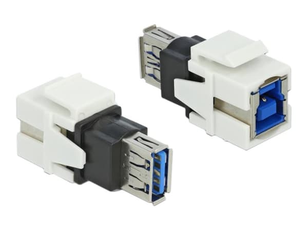 Delock Keystone module - USB-adapter - USB typ A (hona) till USB Type B (hona) - vit