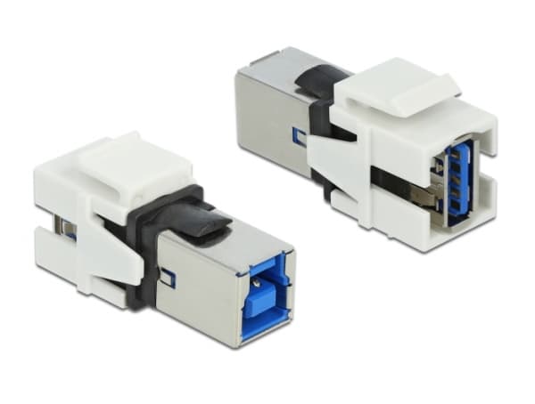 Delock Keystone module - USB-adapter - USB typ A (hona) till USB Type B (hona) - vit