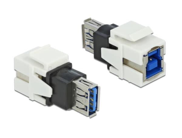 Delock Keystone module - USB-adapter - USB typ A (hona) till USB Type B (hona) - vit