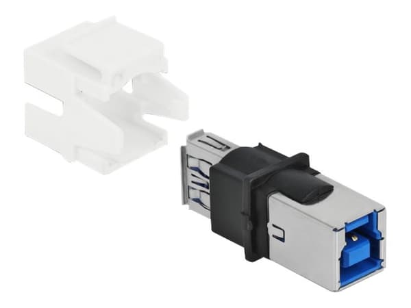 Delock Keystone module - USB-adapter - USB typ A (hona) till USB Type B (hona) - vit