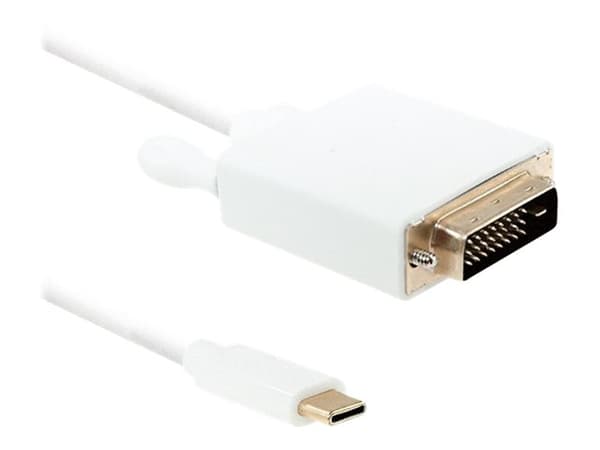 Qoltec - Adapterkabel - 24 pin USB-C hann til DVI-D hann - 2 m - 4K-støtte