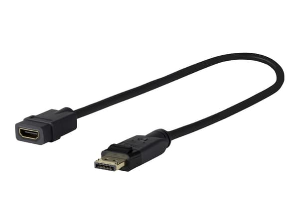 VivoLink Pro - HDMI-sovitin - DisplayPort han til HDMI hun