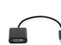 Pikkukuva 4 / 5: HP DisplayPort to DVI Adapter - DisplayPort-sovitin - DisplayPort (han) til DVI-D (hun) - lajittelu - ProBook 64X G4, 650 G4, 650 G5; ZBook 14 G2, 14